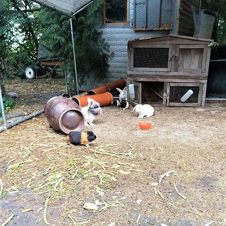 Appartement Großes 28 - Sandkiste *